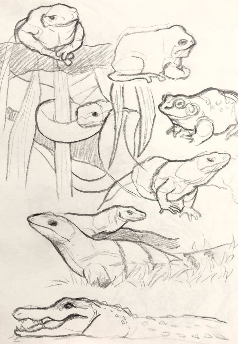 amphibians and reptiles + dino bones 