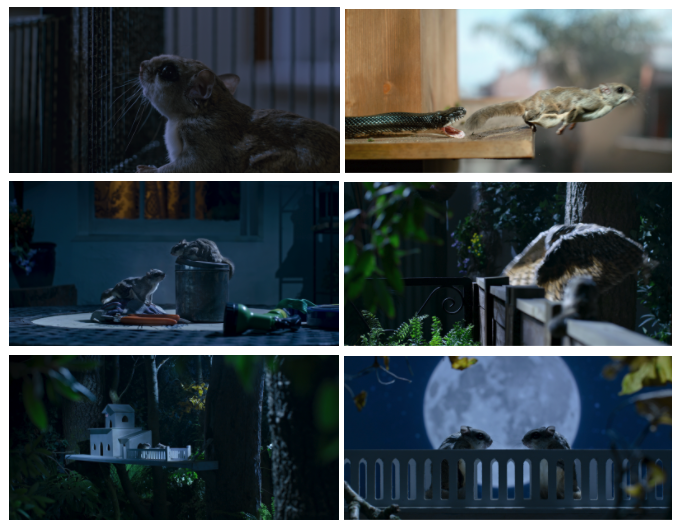 netflix's tweet photo. Show me a more compelling story:
✔️ Girl squirrel breaks out of captivity to meet boy she sees through window
✔️ Almost gets killed by a snake then an owl
✔️ Finds boy, hangs out
✔️ Owl eats boy
✔️ She meets another boy squirrel pretty quickly, so its fine
(📺 Tiny Creatures) https://t.co/YkztkzMSTI