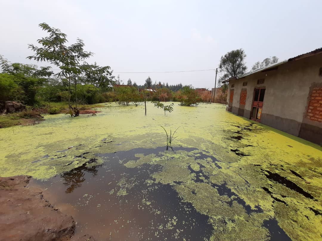 WorldVisionUg's tweet photo. 119 families camped at Kanyangeya P/S, Kasese rely on water from flooded areas. With support from ECHO, World Vision has committed to rehabilitate boreholes damaged by floods. Giving these families and many others access to safe water https://t.co/L1ThCK4Sjz