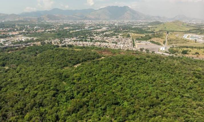 Floresta Camboatá é pedaço de Mata Atlântica sob controle do exército, no subúrbio de Deodoro no Rio de Janeiro. A área já está 43% desmatada!, deixando a floresta com 1,14 milhões de m² (114ha), que devem ser preservados. No total, são quase 200 campos de futebol em área.