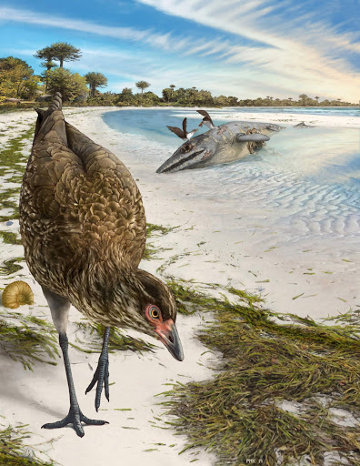 MHCNeateClegg's tweet photo. #NAOC2020 Loved hearing about the #wonderchicken. Imagine finding that skull in a rock! https://t.co/Xh4xEaNLnY