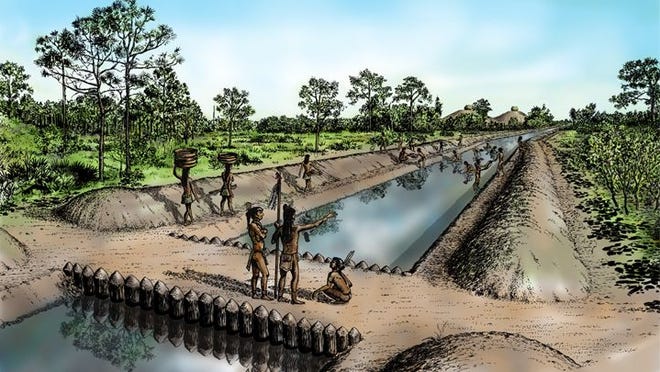 Calusa infrastructure was incredible. They built a 4-km-long canal on Pine Island, probably for transportation, fishing, exchange, & tribute payment. The construction project was a grand, collaborative project, involving the movement of at least 30,000 cubic meters of earth.