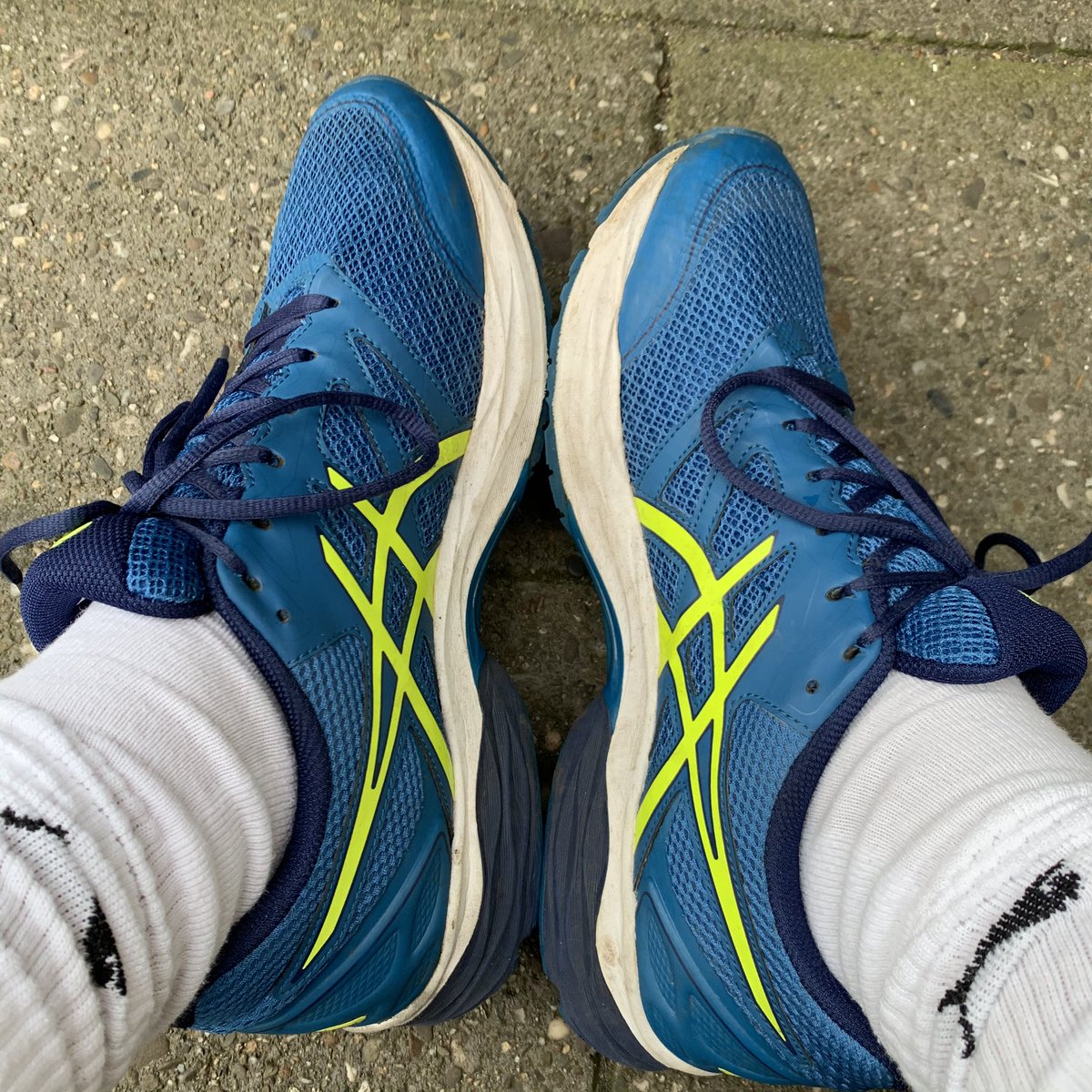 Edwin Staal tweet media