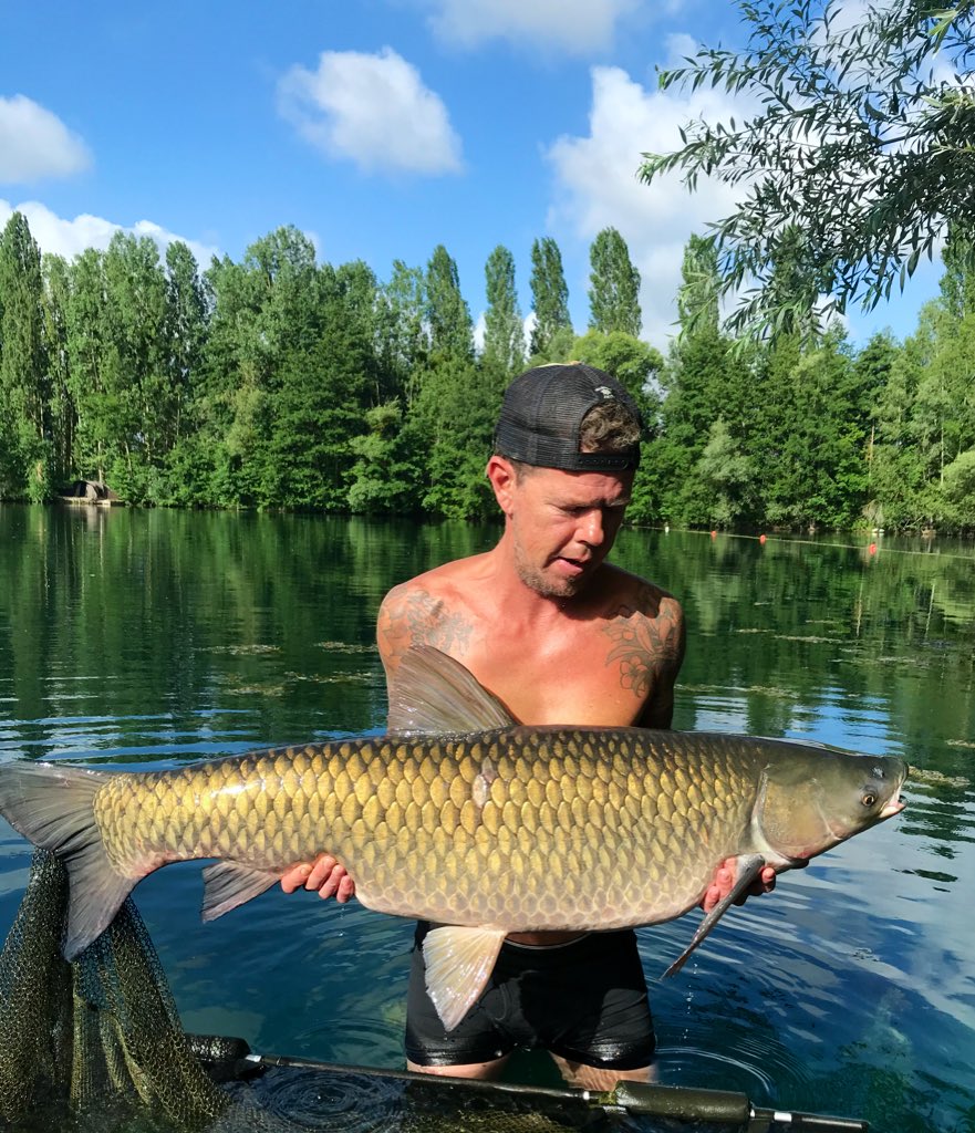 ski35's tweet photo. 48lb Grassy!!!#grasscarp https://t.co/qeHE3gwu1w