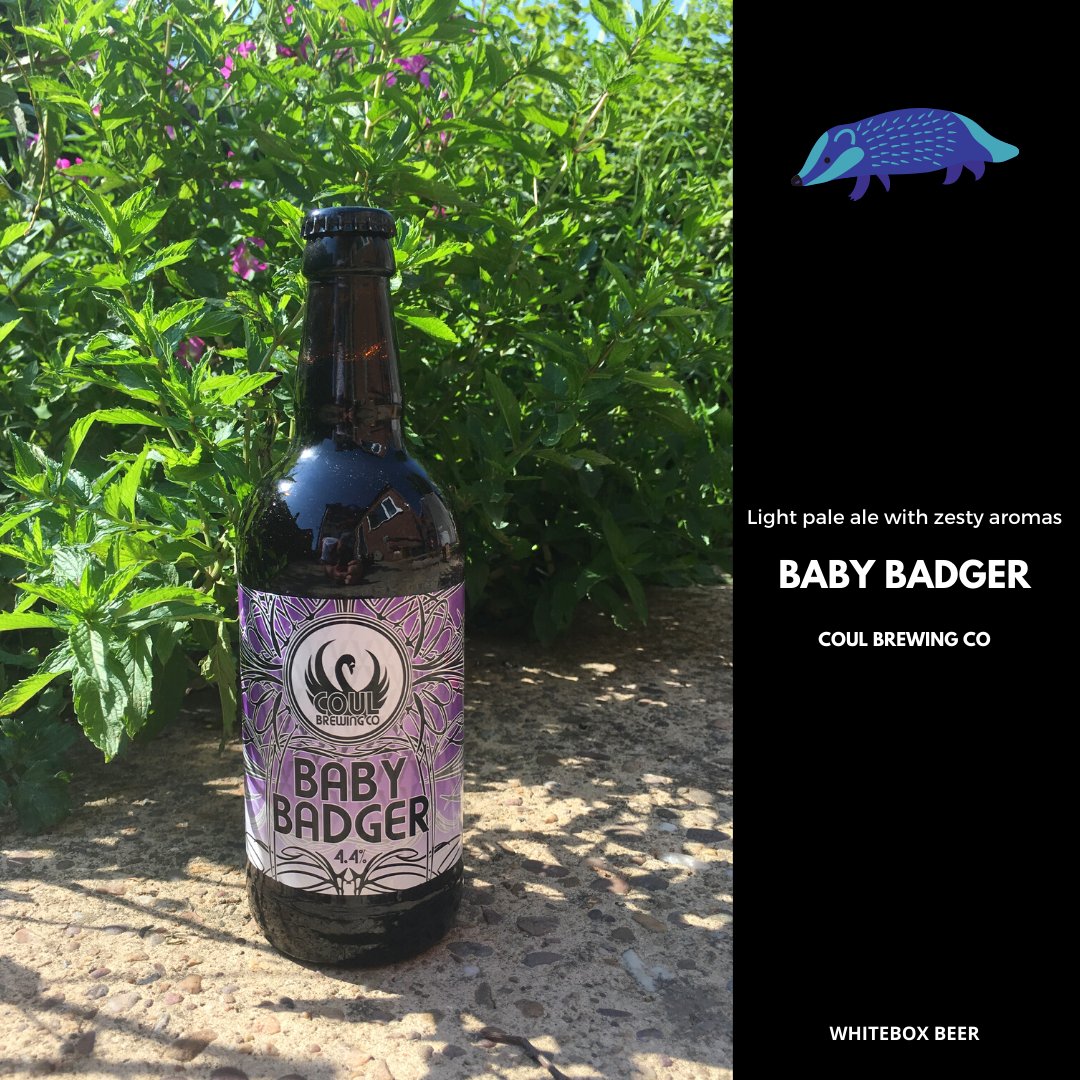 WHITEBOXBeer's tweet photo. Is there anything cuter than a baby badger? If you love a beer with zesty aromas this badger is just the beer for you. https://t.co/wfDhnwX3yp  Brewed by our friends @CoulBrewing
#beer #CraftBeer #craftbeerhour #gifts #giftsforhim #giftsforher #beers #beeroclock #beerlover https://t.co/SA1Rjp8Pa6