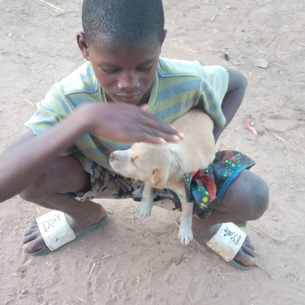 babusarr's tweet image. Life in west Africa the gambia