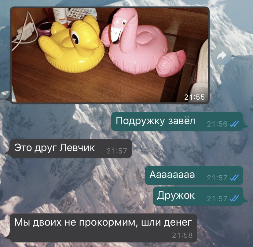 veslava_k's tweet photo. Попросила родителей показать моему Вовчику море, а то давно не был. Фотоотчет и манипуляции в действии https://t.co/BN3Mt2iIz0