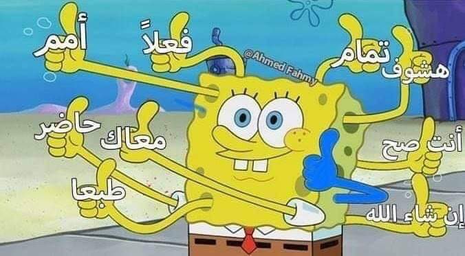 - رد فعلي على كل حاجه الفتره دي ..