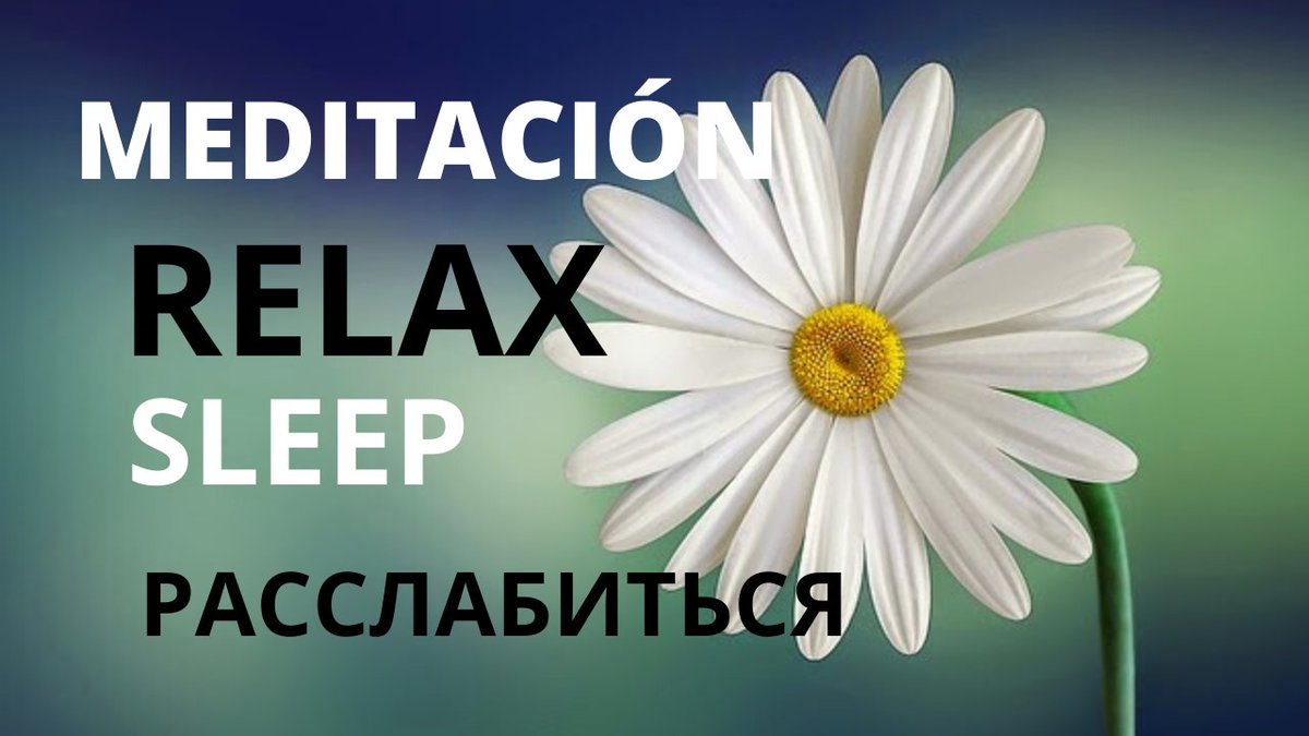 gilbertomesa's tweet photo. Vean este video en youtube https://t.co/BGVk9F9SMn
Para que se relajen después de tantos ires y venires de este país https://t.co/cozetQqaix