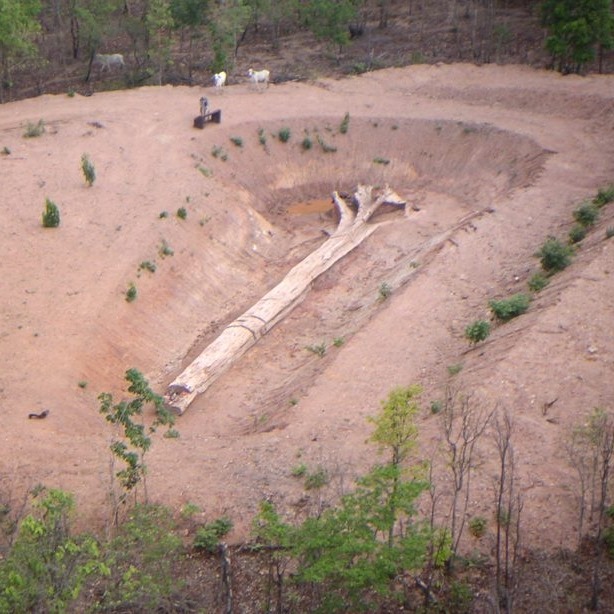 I saw these photos doing the rounds across social media and couldn’t help but share. 

What a beautiful fossil. 🌳🌳🌳

A 72-metre-long petrified tree at the Ban Tak Petrified Forest Park, Thailand, which dates from the Early Pleistocene and is about 800,000 years old.
