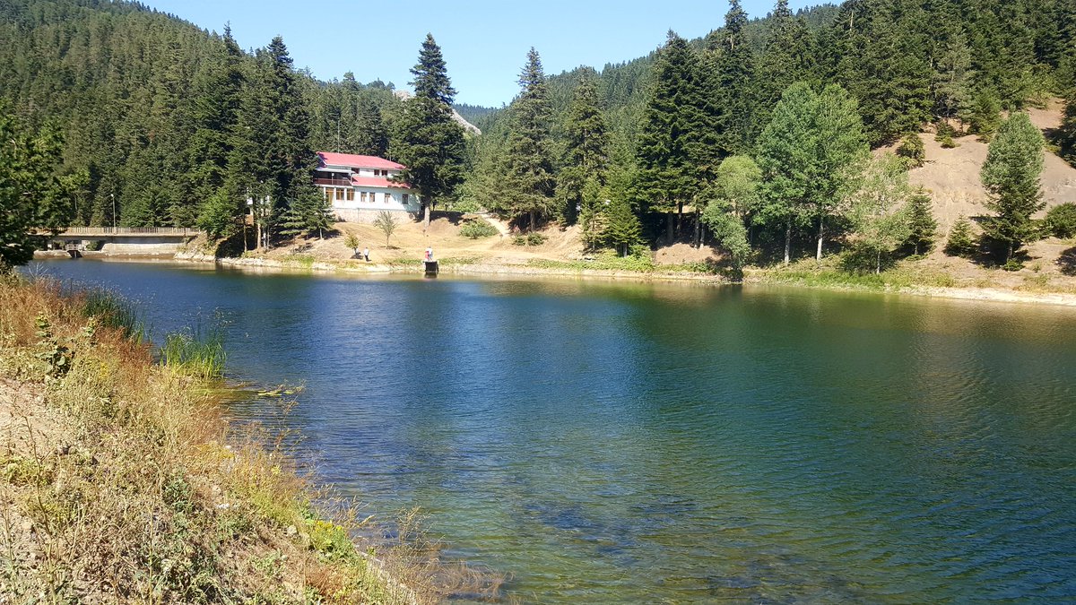 Doğa harikası Ayancık Akgöl Tabiat Parkı'mız da, Bölge Müdürümüz Hasan BAŞYİĞİT incelemelerde bulundu.