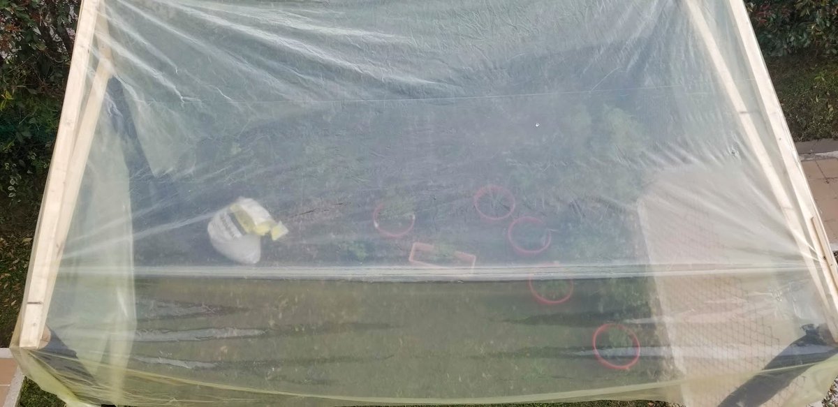 New Greenhouse up and ready to be filled!

#hookah
#blunts
#420
#420life
#stonersociety
#errl
#420friendly
#710life
#bongrips