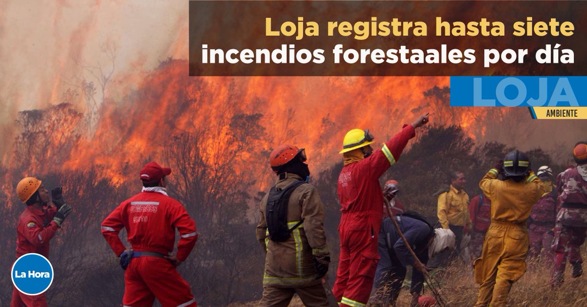 La Hora Ecuador tweet media