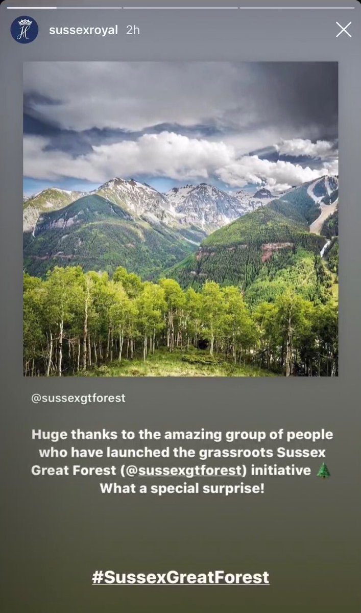  #FindingFreedom: “Inspired by H&M’s charity work, the “Squad” has even gone on to launch initiatives of their own, such as the  #GlobalSussexBabyShower...& planting 100,000 trees...in the couple’s names. “To see that support & positivity means a lot,” Harry told a friend.” 