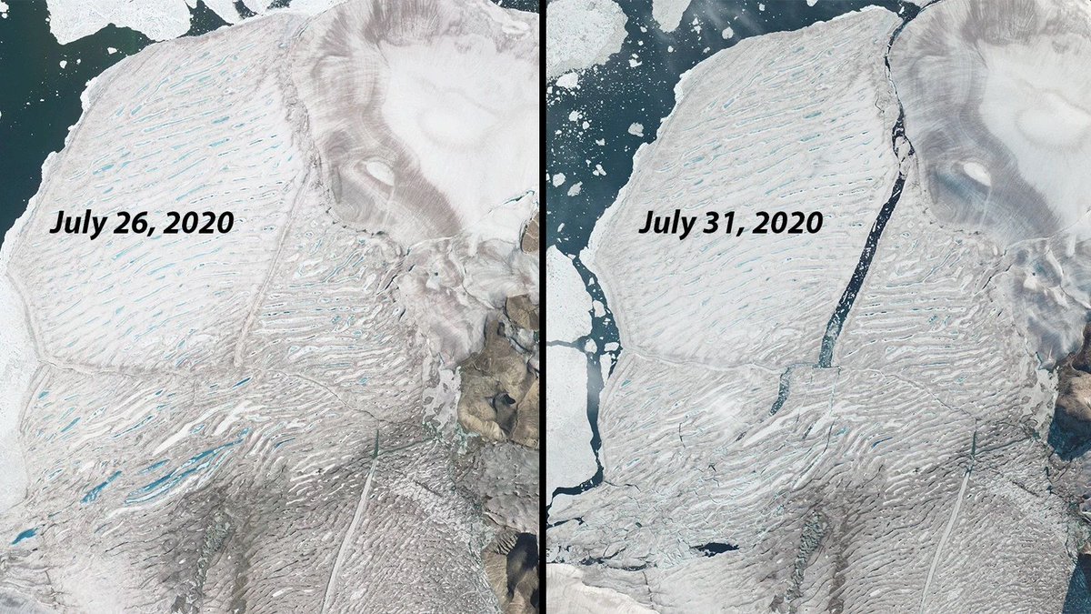RecreationLaw's tweet photo. Satellite images of the last Canadian ice shelf calving this week @RecreationLaw #StupidPOTUS #ClimateChange #SaveOurEarth #EndangeredSpecies #SaveMigratoryBirds #SaveAntarctica #RecLaw #RecreationLaw https://t.co/Ze8jS4H7AT https://t.co/AWPLmEHGlh