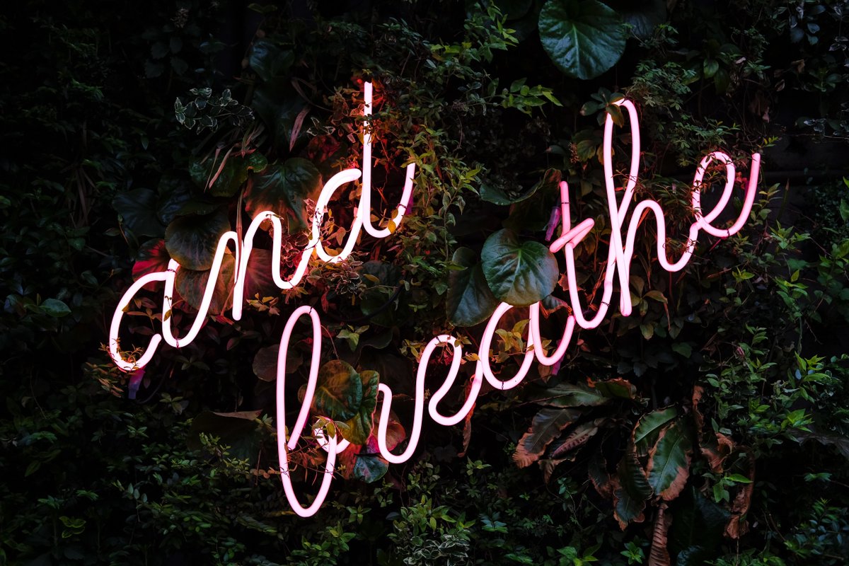 RomanBrave3's tweet photo. Want to make your life better? Start with some breathing techniques. One we like is box #breathing, which is also known as Sama Vritti. You can learn more about it here:
#breathingtechniques #mindfull https://t.co/E9PJ531xrO #mindfulness [Photo by Valeriia Bugaiova on Unsplash] https://t.co/MesFDj0Ve8