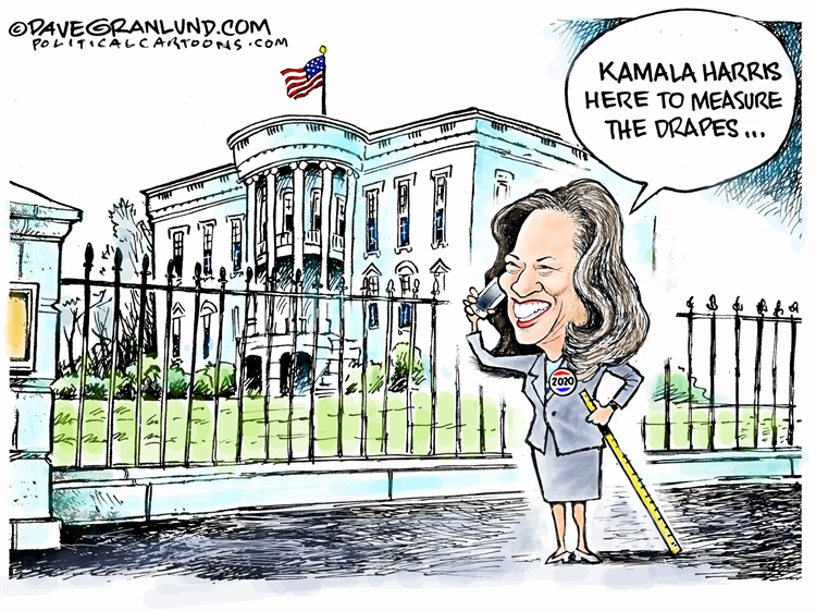 MightyQuinn686's tweet photo. Lets see how fast I'm labeled sexist and racist: Dems, HOW in your right mind could this be better than Trump? HOW could this be Better Than almost anyone else?   This is the saddest example of a VP (ahhum, President, AKA puppet master) that I have seen in a long time. https://t.co/BW2xFYf4Nw