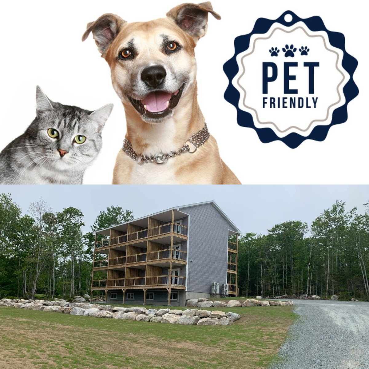 **Our guests have spoken and we have listened**
Our new addition is now pet-friendly. 🐶🐱. Call 1-800-565-1119 to BOOK your room. We call the new addition Hilltop, but some say we should call it Dogwood. What do you think?