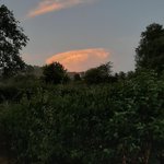 Photo by Parsonage Farm (@parsonagefarm)