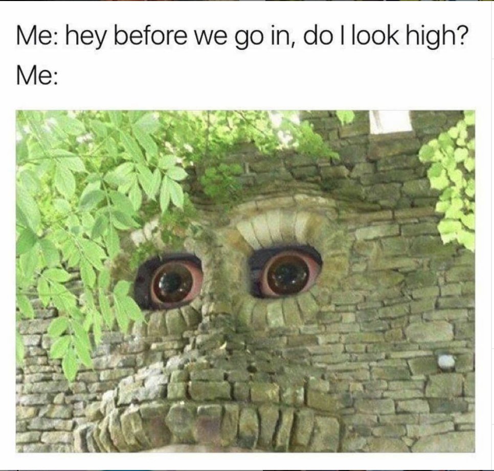 Leafly's tweet photo. The answer is always yes 😂 😂 https://t.co/laRW4Wkgaf