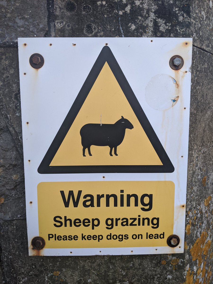 CarlieJean99's tweet photo. You know your home when this is your only warning... 🏴󠁧󠁢󠁷󠁬󠁳󠁿💚 https://t.co/ceor09uFPf