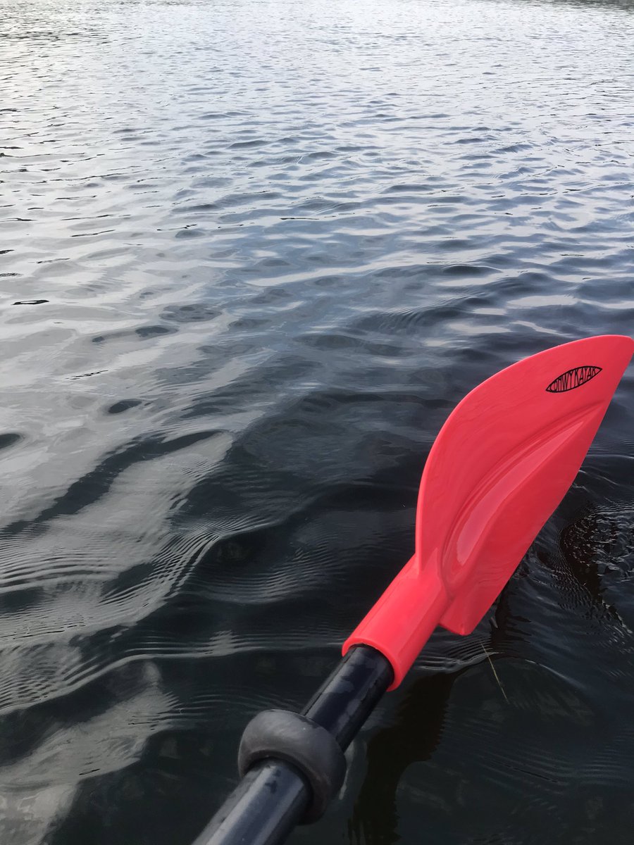 Nothing quite like messing around  on the river #Thorpe #Norfolk 🦆