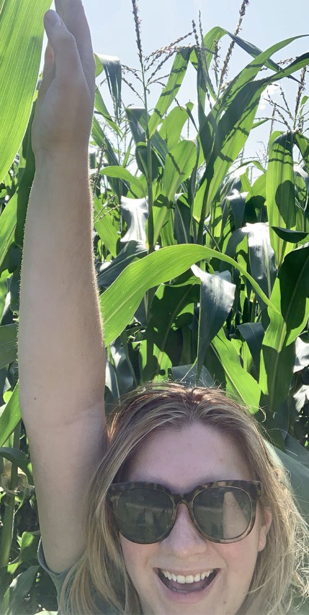 catbonneau_'s tweet photo. The grazing corn at our farm is hitting 8 feet tall! Amazing what a couple weeks of heat and sunshine can do! π€ #39F44 @PioneerSeedsCA @CortevaCA π½π½ https://t.co/QIBVpJ633T