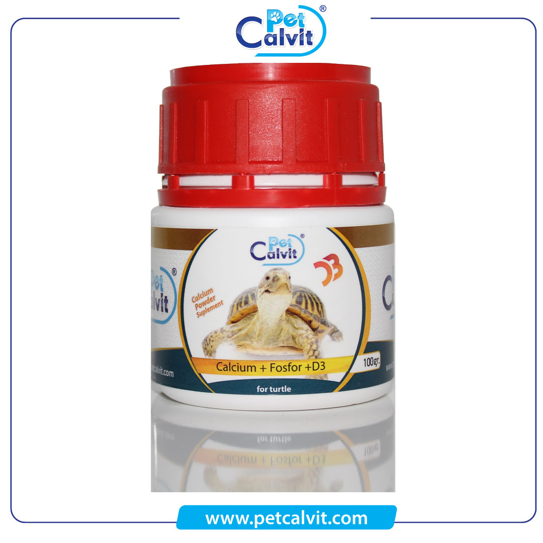 Kaplumbağaların kesinlikle kalsiyuma ihtiyacı vardır. Yeterince kalsiyum tüketmek, bir kaplumbağanın sağlıklı kalması için yapması gereken en önemli şeylerden biridir.