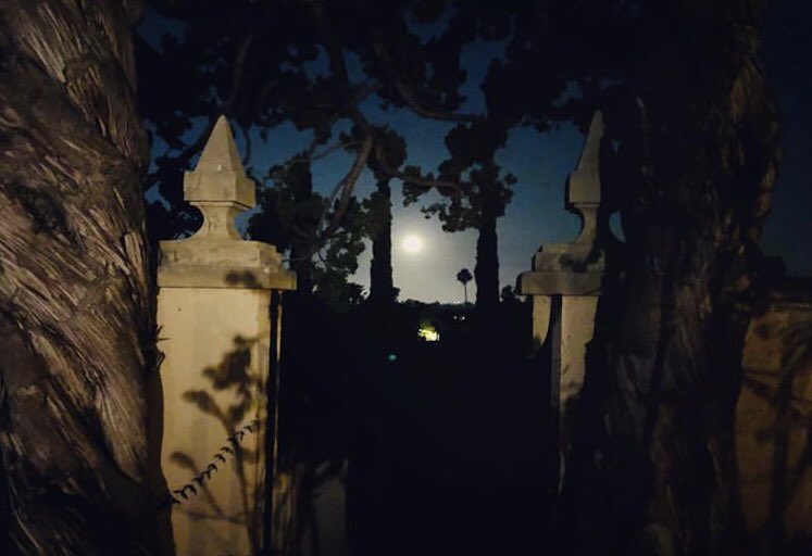 Unfortunately, due to new county restrictions, we will be closed to the public again until further notice. Thank you all for the support in these difficult and uncertain times. We’ll see you soon! 💐🌾🌴