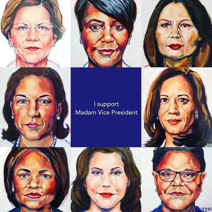 I plan to vote for <a href="/JoeBiden/">Joe Biden</a> &amp; [ANYONE HE CHOOSES]