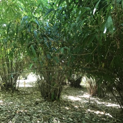 Green Pot Enterprises Ltd tweet media