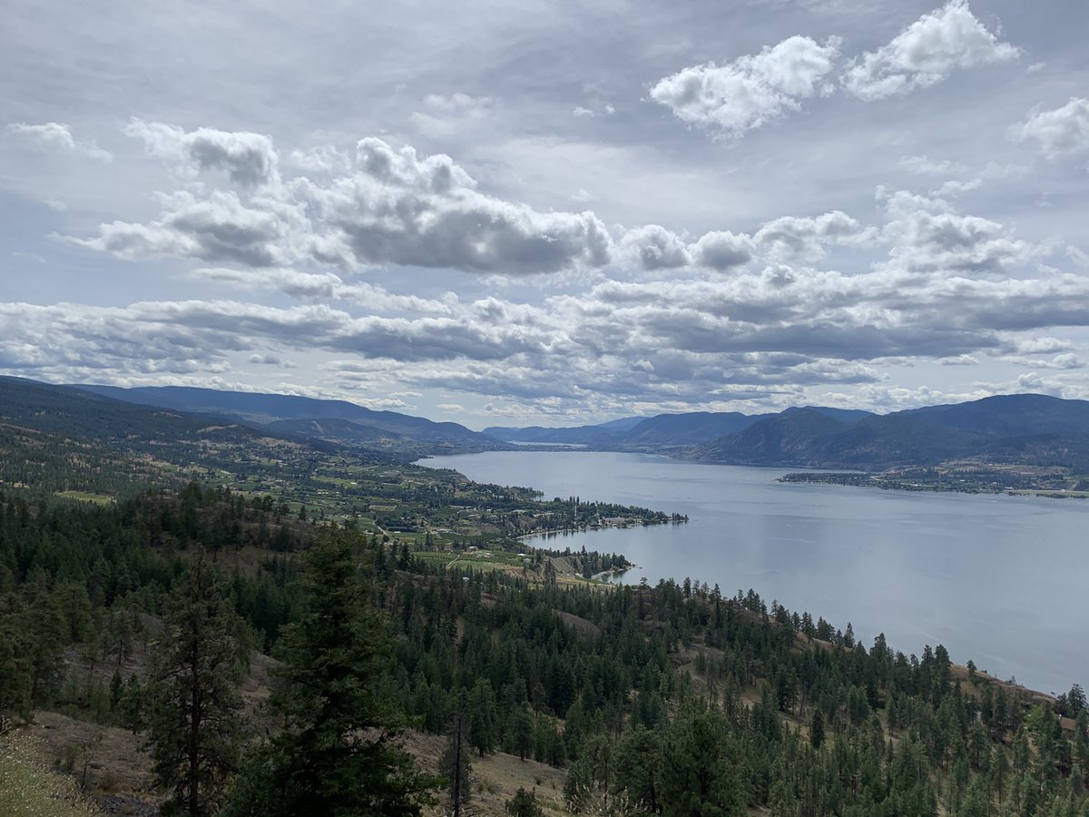 eudorable tweet media