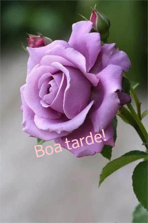 enosms's tweet photo. @subeida1 @Adriana1Boneca @lulu_sccp_ @anaberssani1 @anahelo_ana @regiancordeiro @elzasds @sou_eumesma @tpezzo @dri_gaucha @elzasantos007 @DeMarinezara @MarryALF @viajanteblue @verinha22627646 @Verediana0077 @isabelnicky_ @rebecadrumonda @smedina1959 @faminas_m @dejahprates 😉 https://t.co/nhorha2fQK