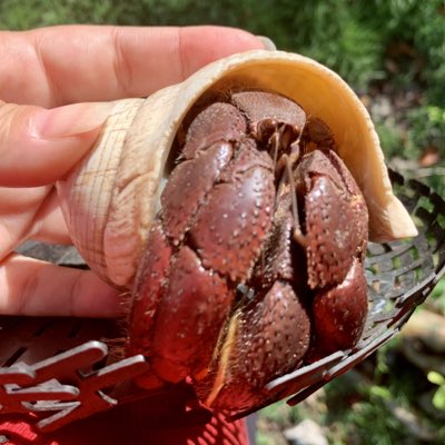 CrustyOne5's tweet photo. #NewProfilePic https://t.co/ion71pOEuK