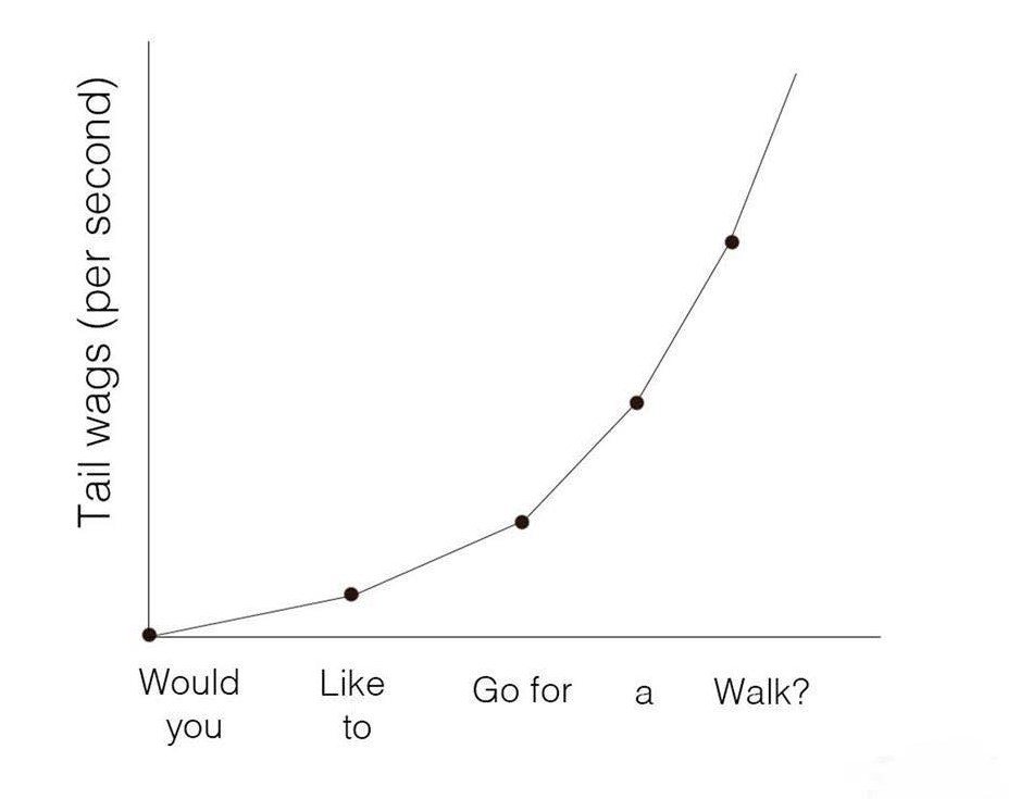 DeanJC420's tweet image. #TechicalAnalysis for Dogs 🐶