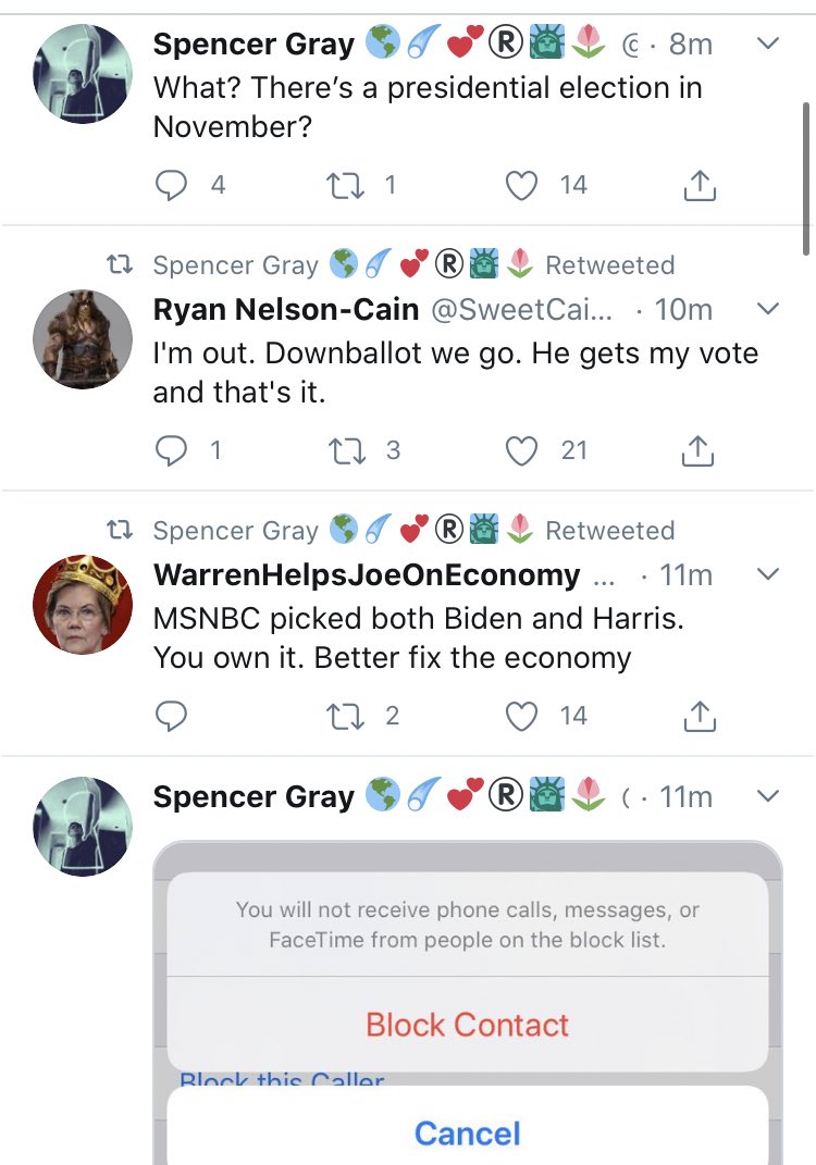 The Warren Dems are exactly who we said they were—Diet Berniebros, a thread: