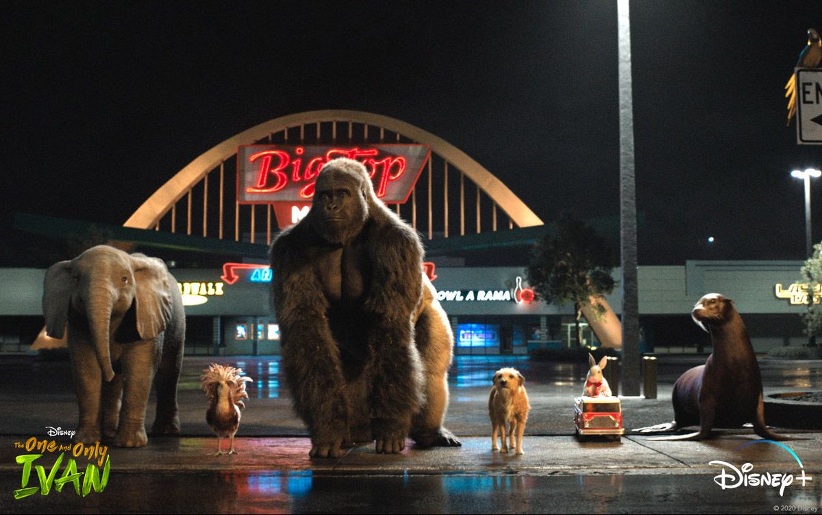 kaaauthor's tweet photo. 🐘🐓🦍🐕🐇🦭

Ten more days until the @IvanMovie starts streaming on Disney+! 

Since you can't exactly buy a ticket to your own couch, I'll ask this instead: Have you bought your yogurt raisins? https://t.co/PzR3H6Gmr9