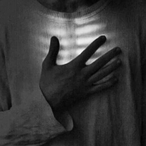 حضرة القلوب :
************* 
إن المريد ما دام محجوباً على شهود نفسه 
ويجاهد فى حضور قلبه مع ربه فهو فى حضرة القلوب 💚