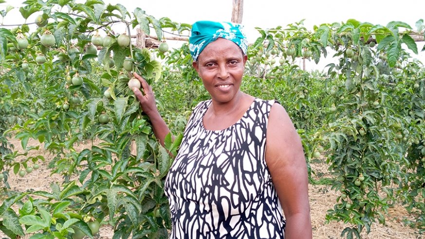 gahugura's tweet photo. Despite the shortage on the local market, Rwanda exported 8,667 tonnes of fruits between July 2019 and June 2020, generating over $7.5m, according to figures from @RwandAgriExport.

Fruit farming remains an untapped business potential

via @NewTimesRwanda

https://t.co/uk0pTz7gje https://t.co/fia28Gpymm