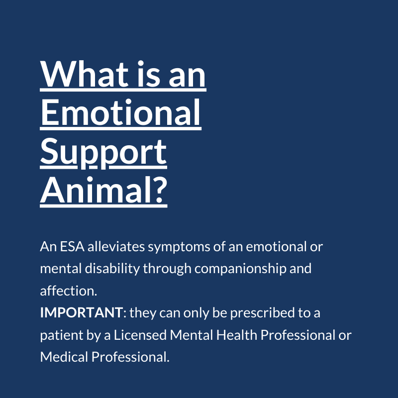 esafamilyorg's tweet photo. For more information on Emotional Support Animal and their Laws. Check out the link below.

🌐 https://t.co/gMYYBYe5NC
📧contact@esafamily.org
📞+1-818-900-9694

#esadog #esacat #esapet #esaanimal #emotionalsupportanimal #esaletter #esafamily #realesaletter https://t.co/5HZCTRkeMp