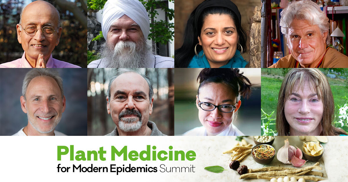 kraut_source's tweet image. Plant Medicine for Modern Epidemics online summit with David Crow: Discover the myriad of plant and fungi compounds which support immune function, thereby increasing your body’s built-in resistance to disease.Aug 24-28. Tune in for free here: shiftnetwork.infusionsoft.com/go/pmd20a21641…