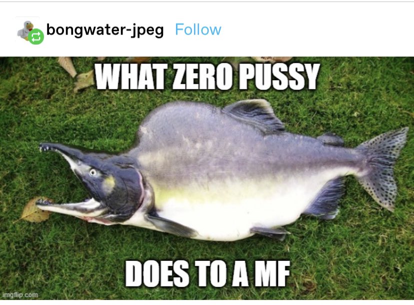 joestarwife's tweet photo. i want to show y’all this tumblr post that made me lose my marbles https://t.co/EgOF85KCNC