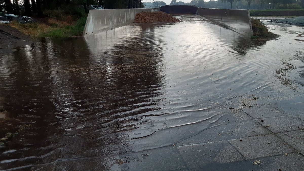 Hier een beste bui gehad vanavond. Ruim 30 mm in half uur. Dat kan het gras en maïs goed gebruiken. Riolering kon het niet aan, maar dat droogt wel weer op. #geenhittestress