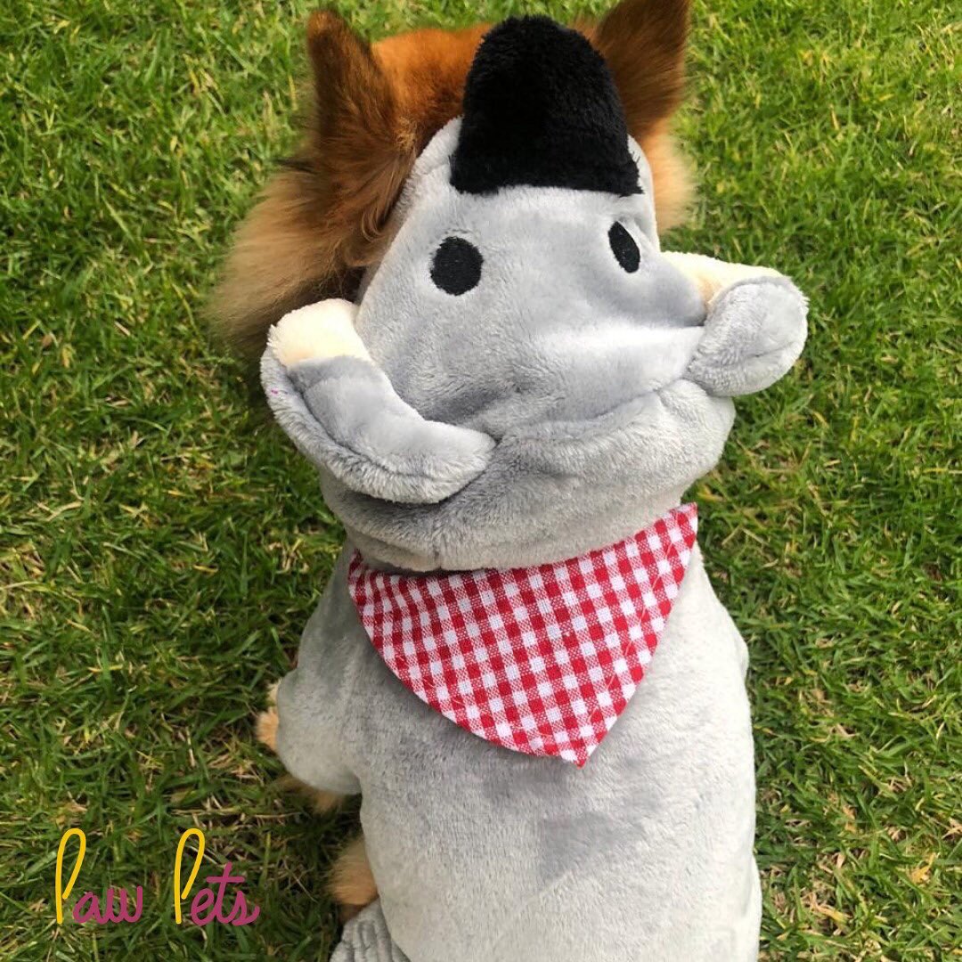 Disfraz de koala 🐨🤍

Adquiérelo con nosotros $375
Recuerda que tenemos envío GRATIS a toda la República 🇲🇽 #koala #disfraz #mexico #perrito #perro