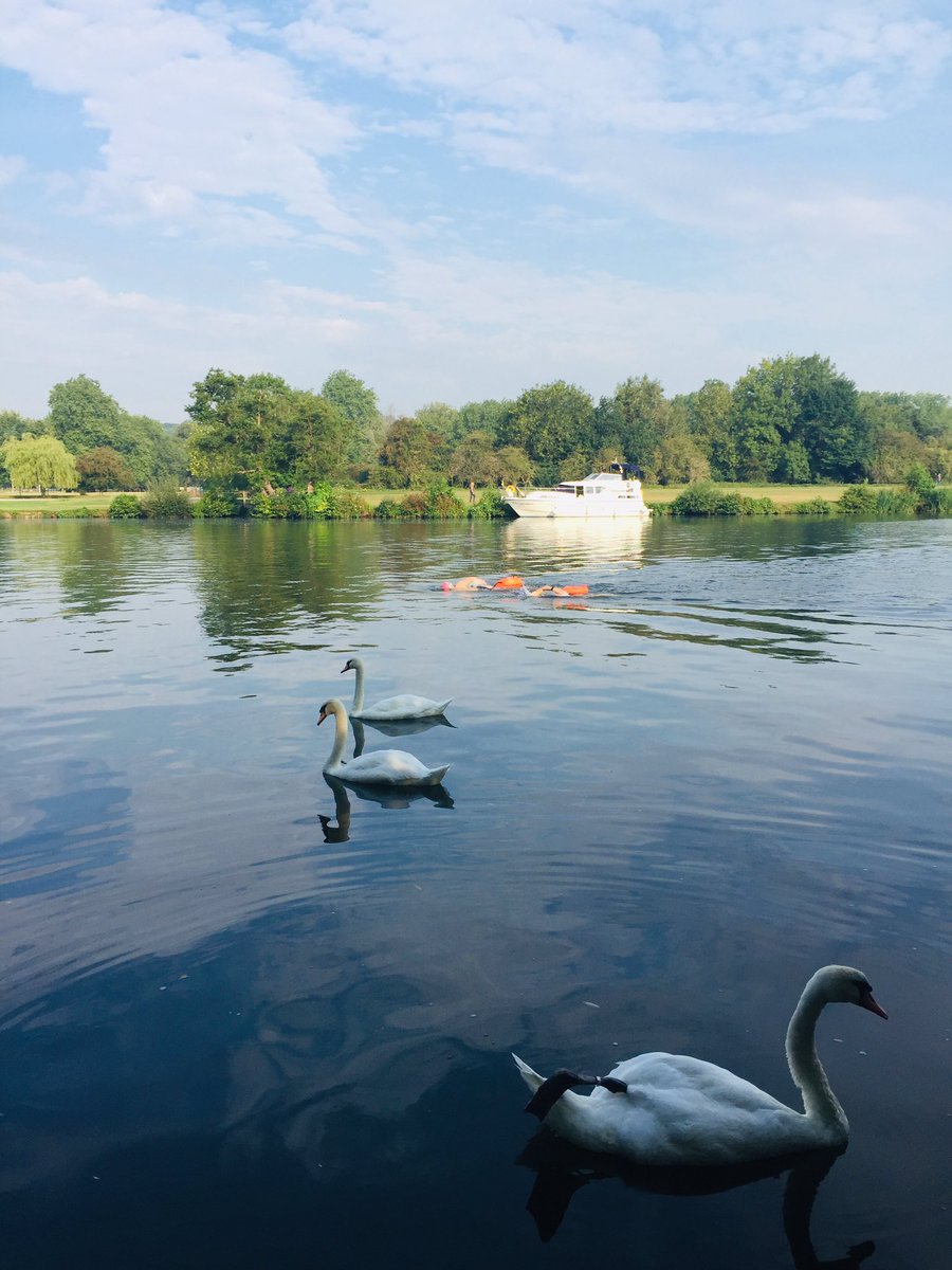 FloraStewart's tweet photo. Refreshing 2km swim in the Thames post run. https://t.co/C6z4HvTKmI