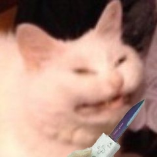 PandaBoobFist's tweet photo. @RchKngstn AHJA aber für wie lang! https://t.co/GJTBngRzIv