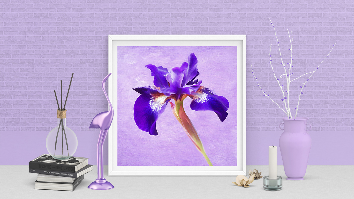photoartbyanita's tweet photo. Love purple? Love irises? Dress up your home decor with "Lovely Dancing Purple Iris" framed print by Anita Pollak. https://t.co/tF1RjTCVcz #iris #purple #wallart #framedPrint #springfloral #floralart #artforsale #homedecor #giftideas #purpleIris #flower #FineArtAmerica #square https://t.co/2wTzZ7OYYW