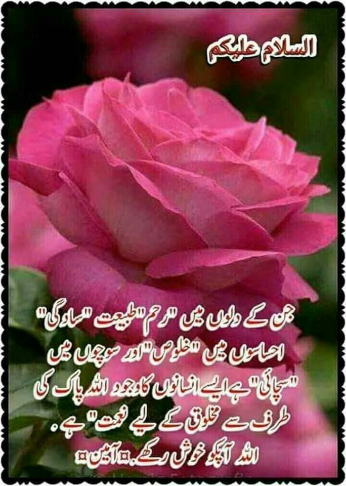 #نماز_راہ_نجات_ہے  
@ahrk81
@RGN1953
@A8Malik
@_acimg
@AB4YH
@ghazalizpr
@Raza5129
@Bhara_Saeen
@Marsd100
@waqar60
@A03Malik
@lhe2lhr
@JLone72
@jbrlala
@Thr_IK
@aAHKR20
@sqb27
@Nysar7
🌹
@A5Malik
@hb2kh
@I_H_101
@NaeemF4
@Wahablala786