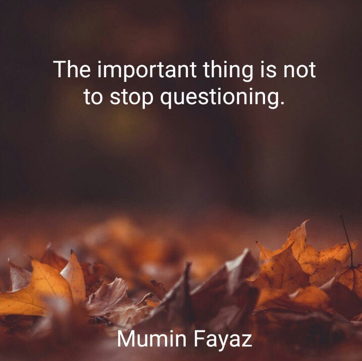 TheMuminfayaz's tweet photo. The Important thing is not to stop Questioning.
#MuminFayaz #Importances #DontStop
#Questions #AskQuestion #BeYourself
#MondayQuotes #QuotesByMumin
#lifequotes #storytelling #Kashmir https://t.co/mNPhaa41so