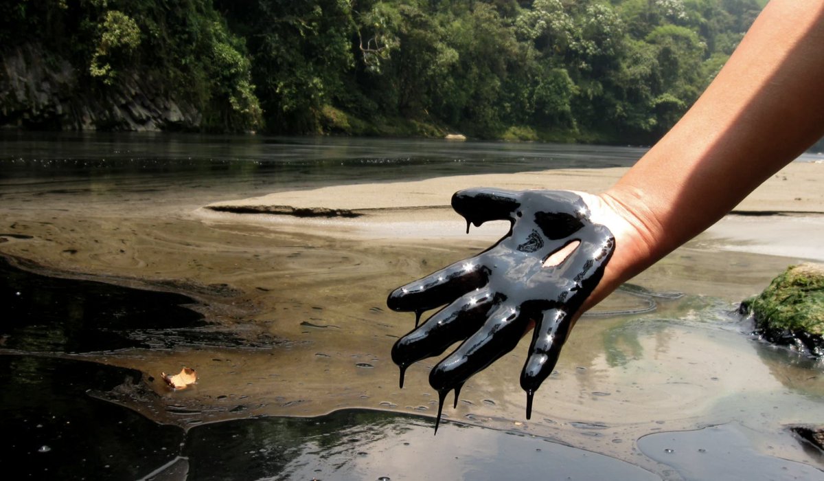 Gizmodo's tweet photo. “They’re trying to crush me so I’ll give up." Inside the battle between Chevron, Amazonian tribes, and a lawyer that may reshape the world https://t.co/7oX5VNrkfE https://t.co/rdeaQPpm1G